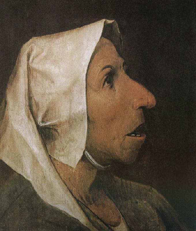 Pieter Bruegel Portrait of woman China oil painting art